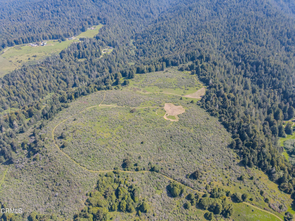 42000 Mountain View Road Manchester, CA 95459 - Photo 52 of 54 a view of a wooden wall with a yard
