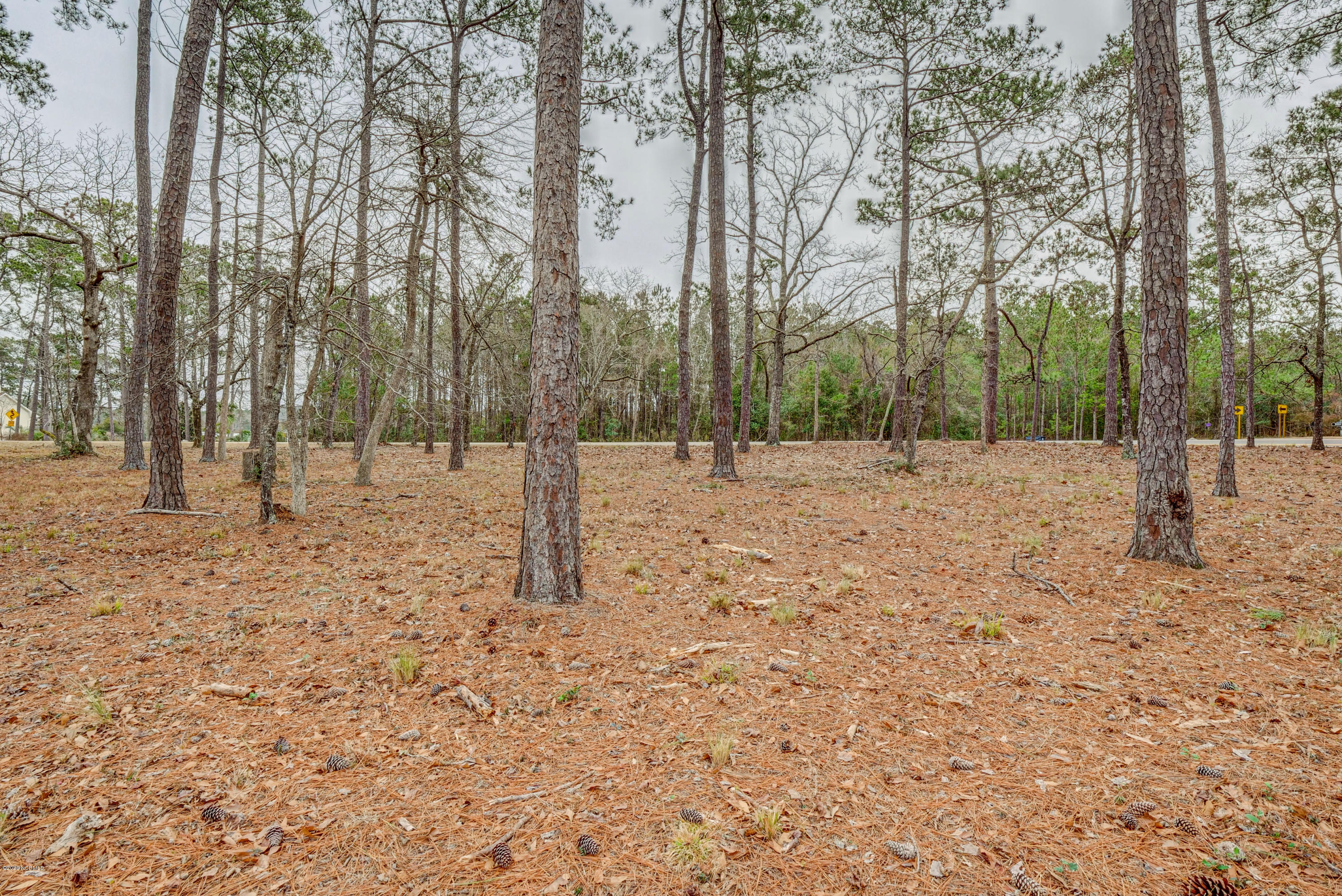 15 Copas Road Southwest Shallotte, NC 28470 - Photo 11 of 16 P4533097_098_099_100_101_102_103