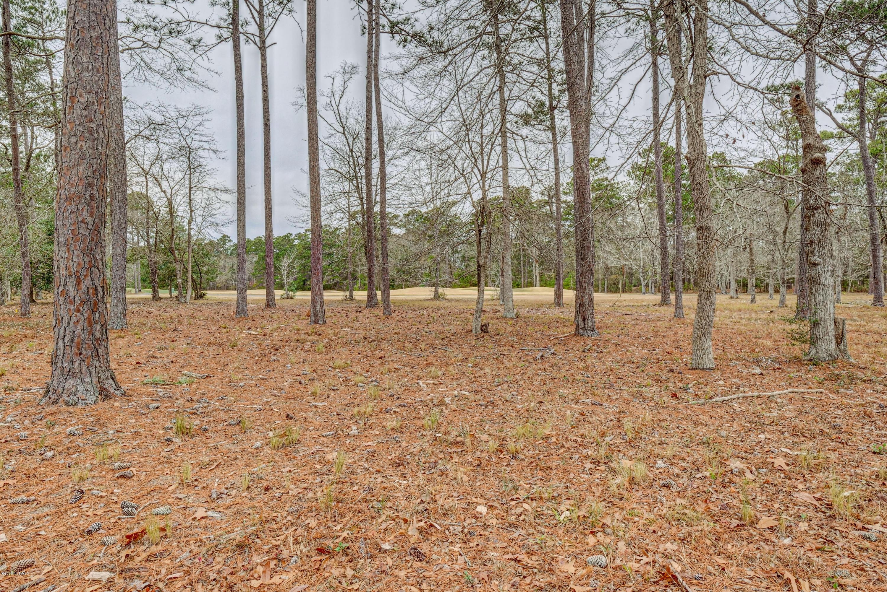 15 Copas Road Southwest Shallotte, NC 28470 - Photo 10 of 16 P4533090_1_2_3_4_5_6