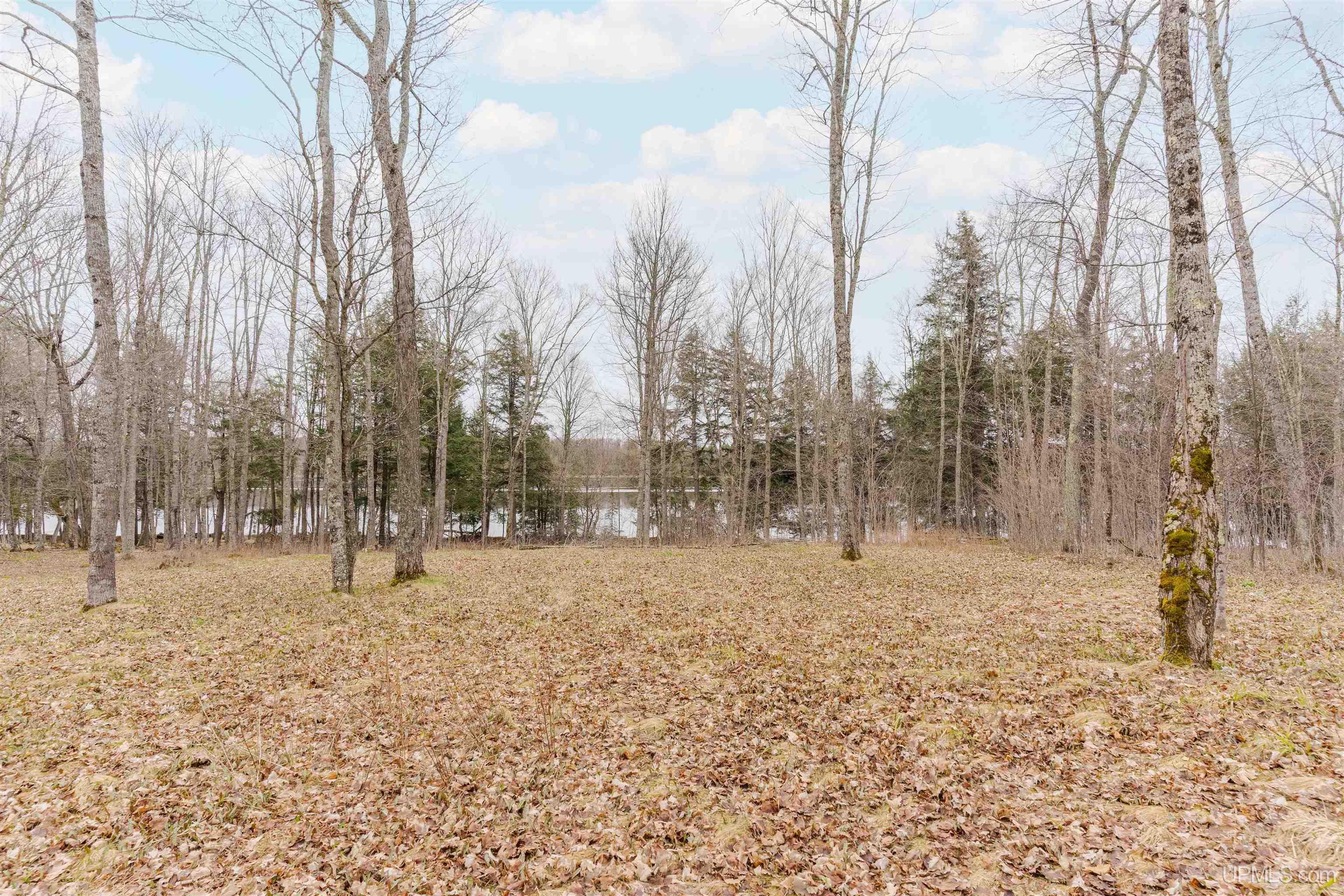 Tbd University Road, Unit LOT 13 Iron River, MI 49935 - Photo 22 of 28