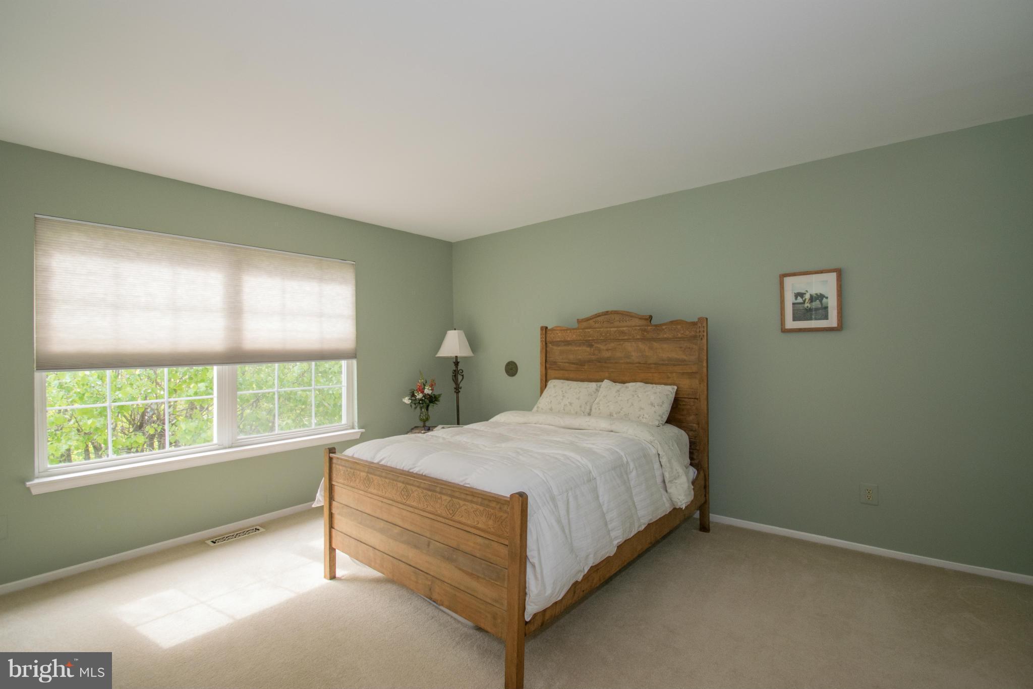 9424 Joppa Pond Road Baltimore, MD 21234 - Photo 16 of 29 Bedroom (Master)