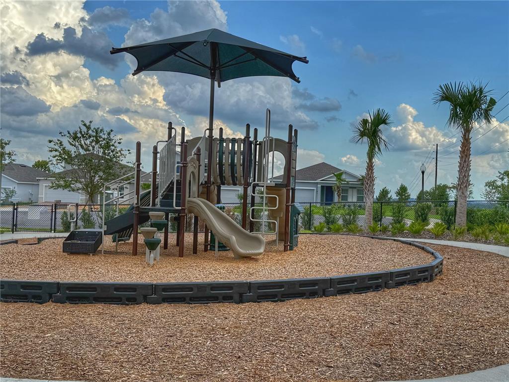 3181 Hill Point Street Minneola, FL 34715 - Photo 52 of 52 a view of a park with a slide