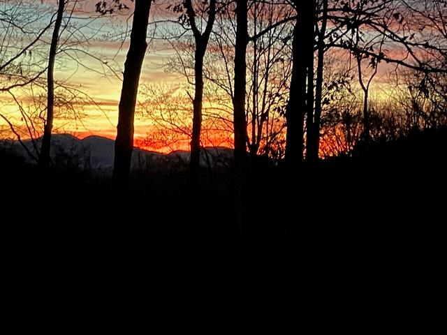 2912 Gribble Edwards Road Hayesville, NC 28904 - Photo 33 of 58