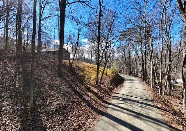 2912 Gribble Edwards Road Hayesville, NC 28904 - Photo 39 of 58