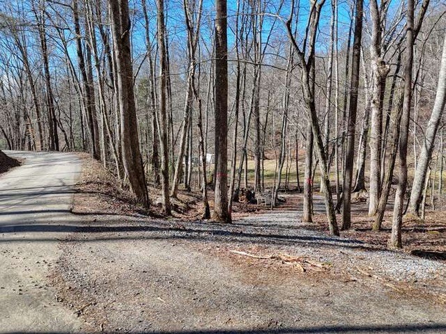 2912 Gribble Edwards Road Hayesville, NC 28904 - Photo 42 of 58