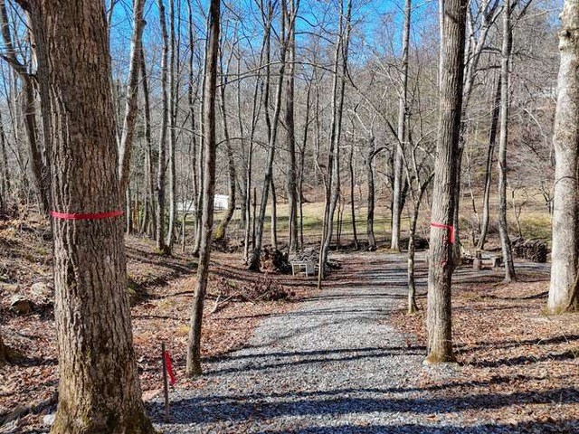 2912 Gribble Edwards Road Hayesville, NC 28904 - Photo 43 of 58