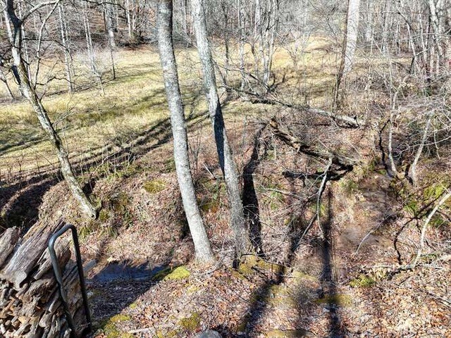 2912 Gribble Edwards Road Hayesville, NC 28904 - Photo 45 of 58