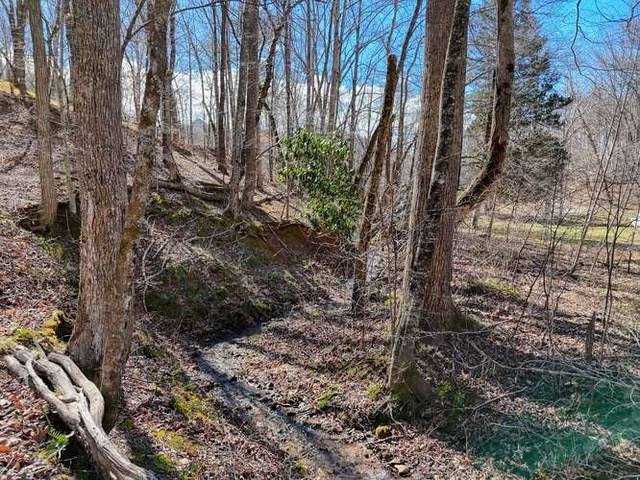 2912 Gribble Edwards Road Hayesville, NC 28904 - Photo 47 of 58