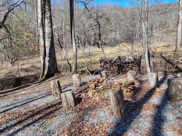 2912 Gribble Edwards Road Hayesville, NC 28904 - Photo 48 of 58