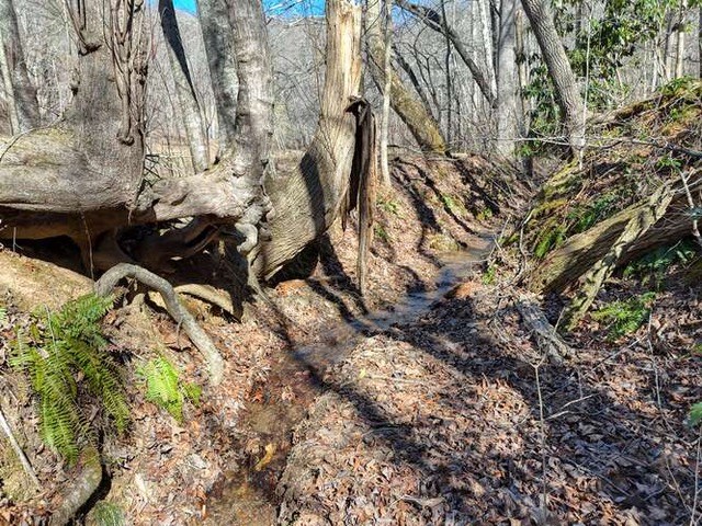 2912 Gribble Edwards Road Hayesville, NC 28904 - Photo 51 of 58