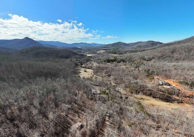 2912 Gribble Edwards Road Hayesville, NC 28904 - Photo 53 of 58