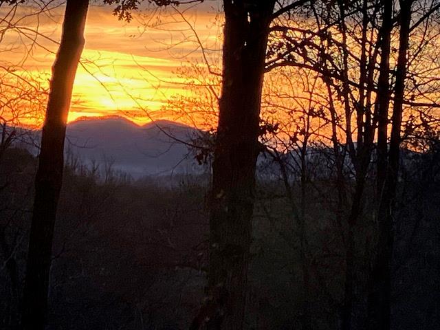 2912 Gribble Edwards Road Hayesville, NC 28904 - Photo 56 of 58