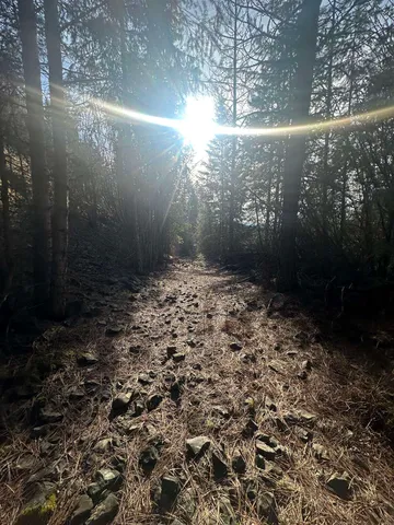 $69,999 | 45-xx 45-xx 292nd Highway, Springdale, WA 99173