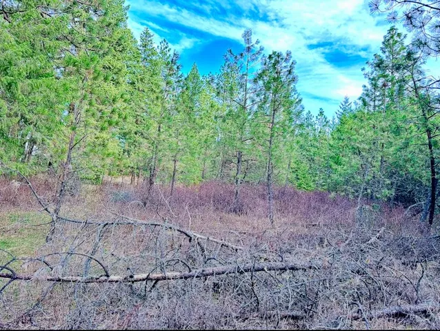 $69,999 | 45-xx 45-xx 292nd Highway, Springdale, WA 99173