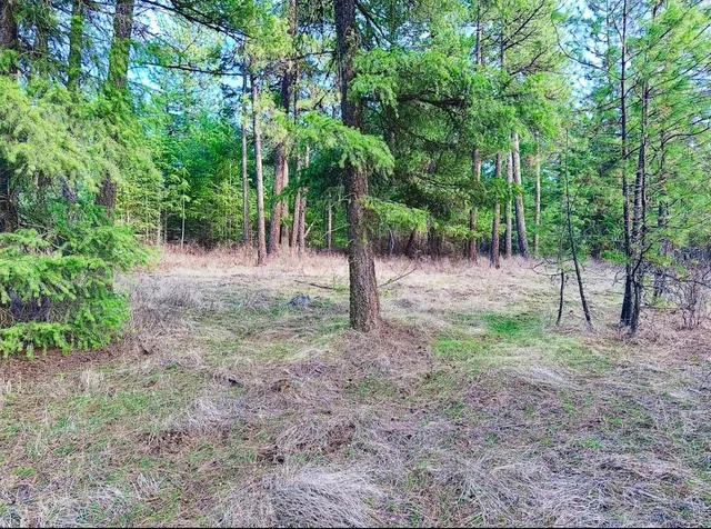 $69,999 | 45-xx 45-xx 292nd Highway, Springdale, WA 99173