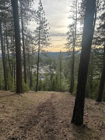 $69,999 | 45-xx 45-xx 292nd Highway, Springdale, WA 99173