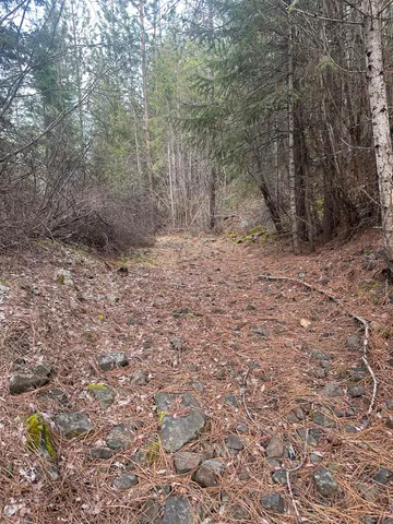 $69,999 | 45-xx 45-xx 292nd Highway, Springdale, WA 99173