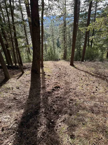 $69,999 | 45-xx 45-xx 292nd Highway, Springdale, WA 99173