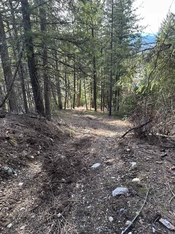 $69,999 | 45-xx 45-xx 292nd Highway, Springdale, WA 99173