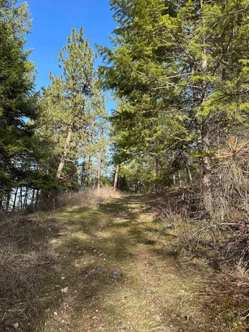 $69,999 | 45-xx 45-xx 292nd Highway, Springdale, WA 99173