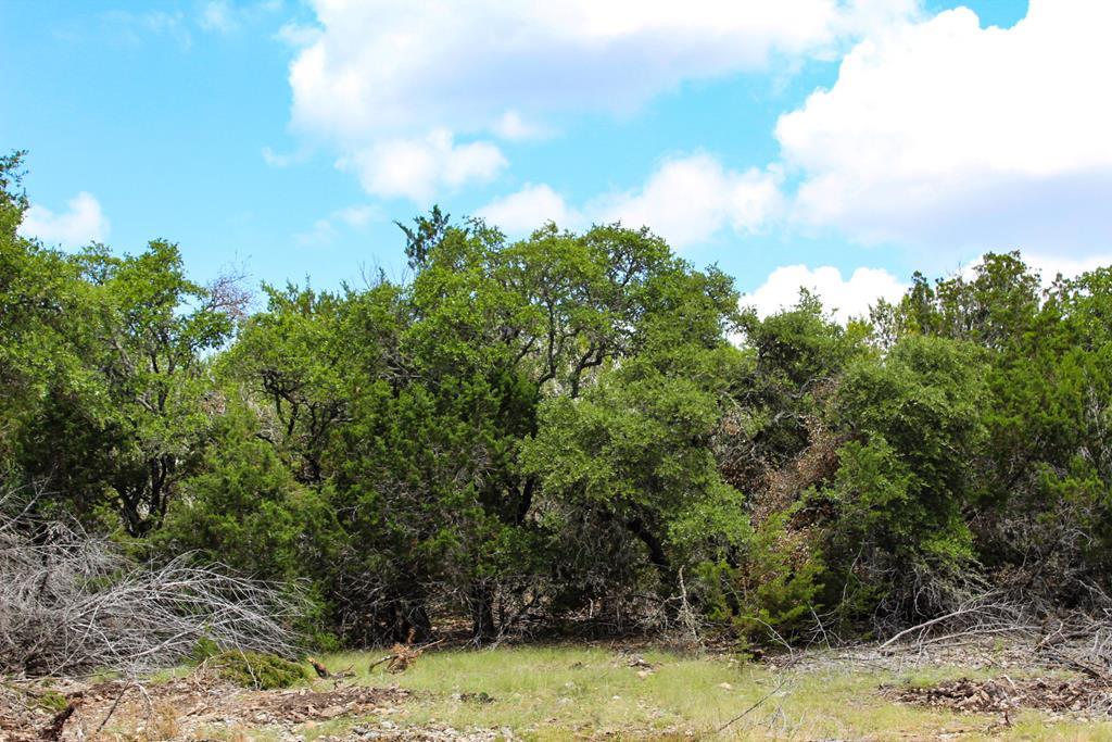 121 Paloma Ranch Rd Mountain Mountain Home, TX 78058 - Photo 6 of 6
