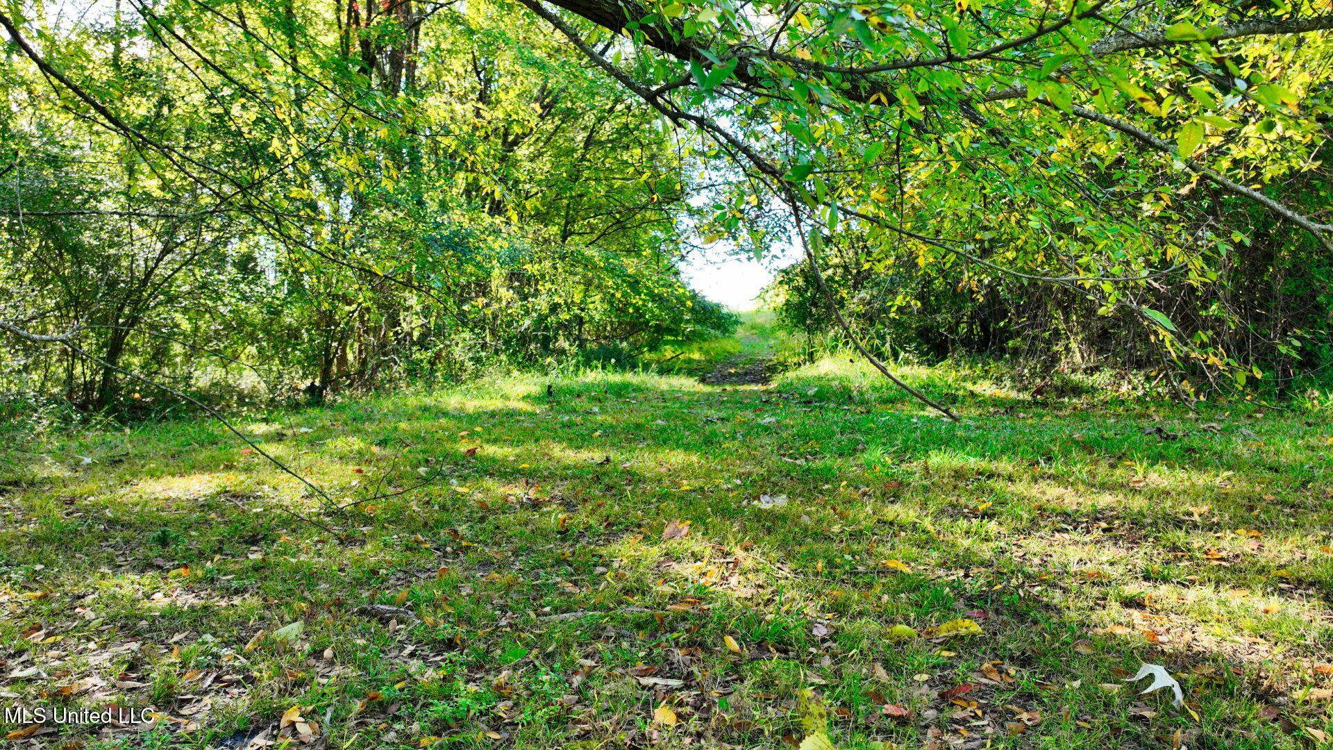 0 Hacks Road Olive Branch, MS 38654 - Photo 4 of 13 4 (1)