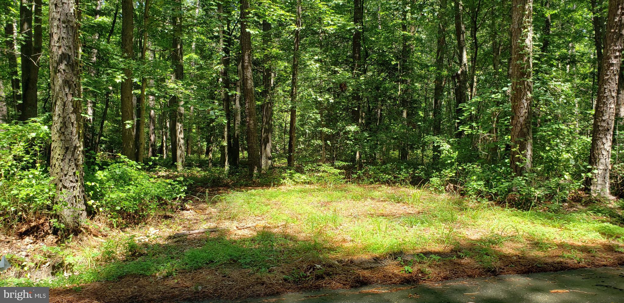 0 Quaker Neck Road Bozman, MD 21612 - Photo 2 of 8 Entrance between Ebb Point Rd and Vandenberg Ln