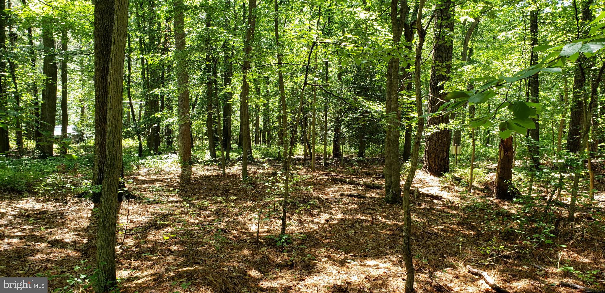 0 Quaker Neck Road Bozman, MD 21612 - Photo 3 of 8 Gallery Image 3