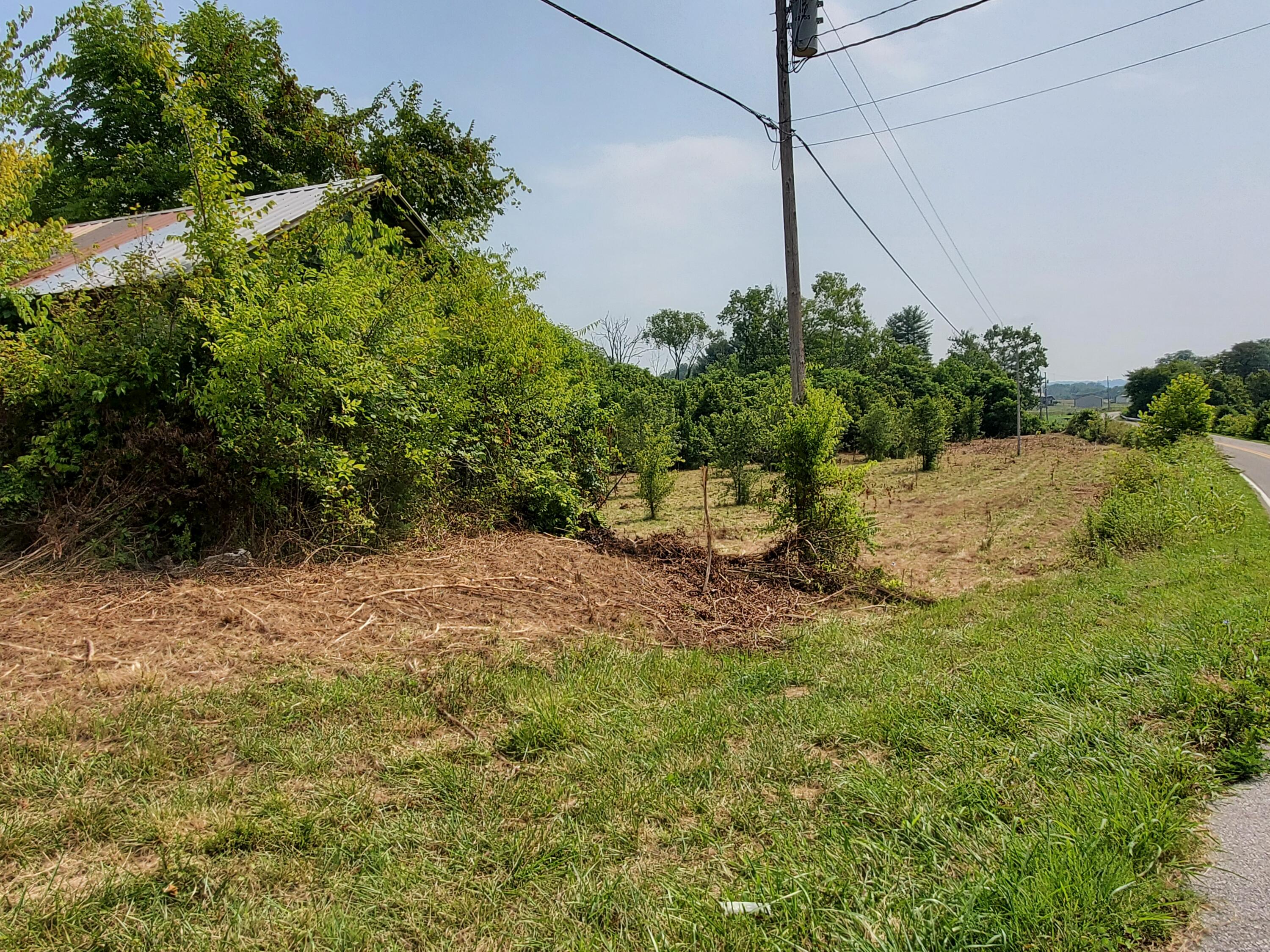 6.27 Ac Mcdonald Road Midway, TN 37809 - Photo 1 of 34 20210724_111253