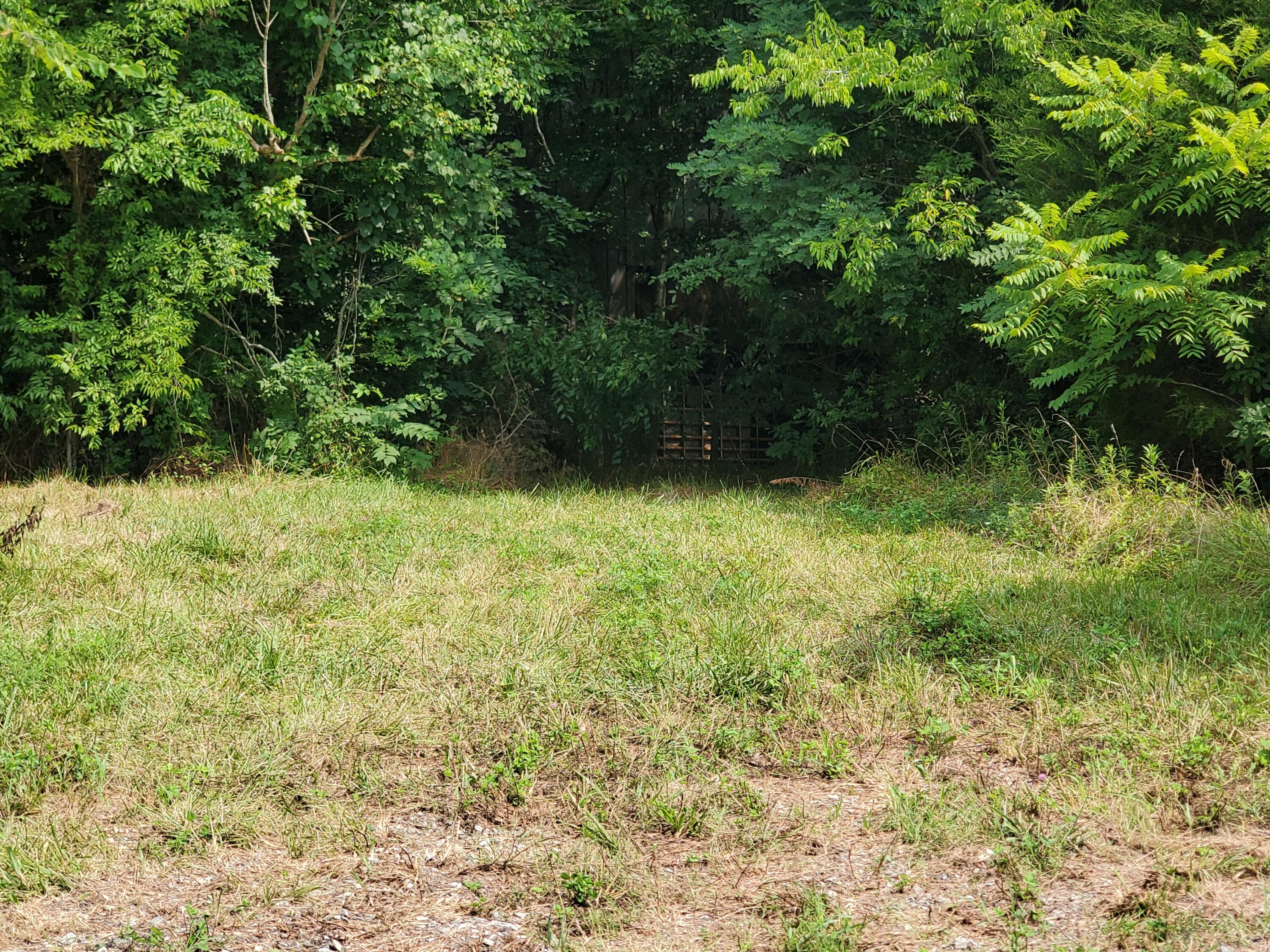 6.27 Ac Mcdonald Road Midway, TN 37809 - Photo 18 of 34 20210724_111242
