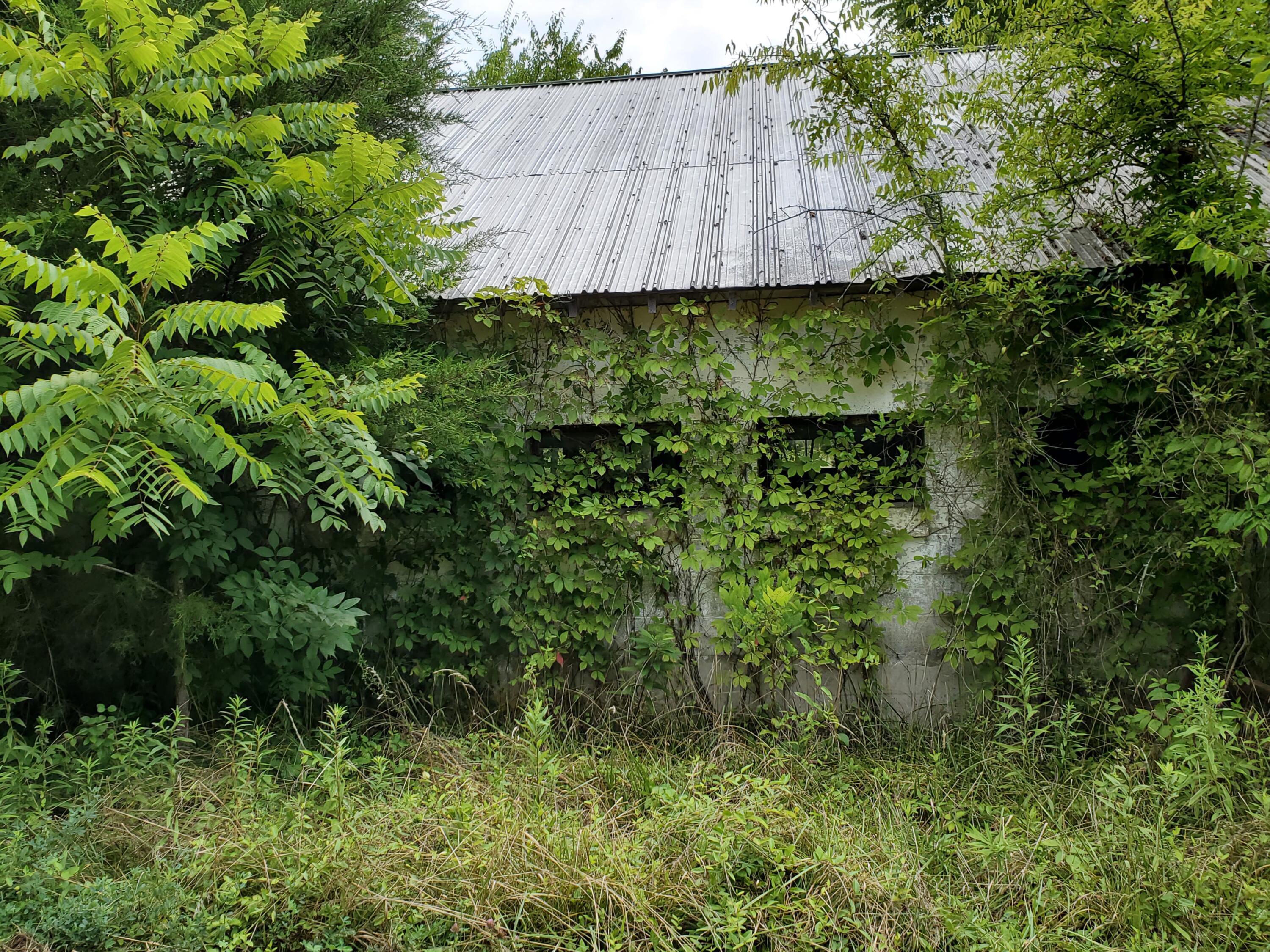 6.27 Ac Mcdonald Road Midway, TN 37809 - Photo 7 of 34 20210724_112012