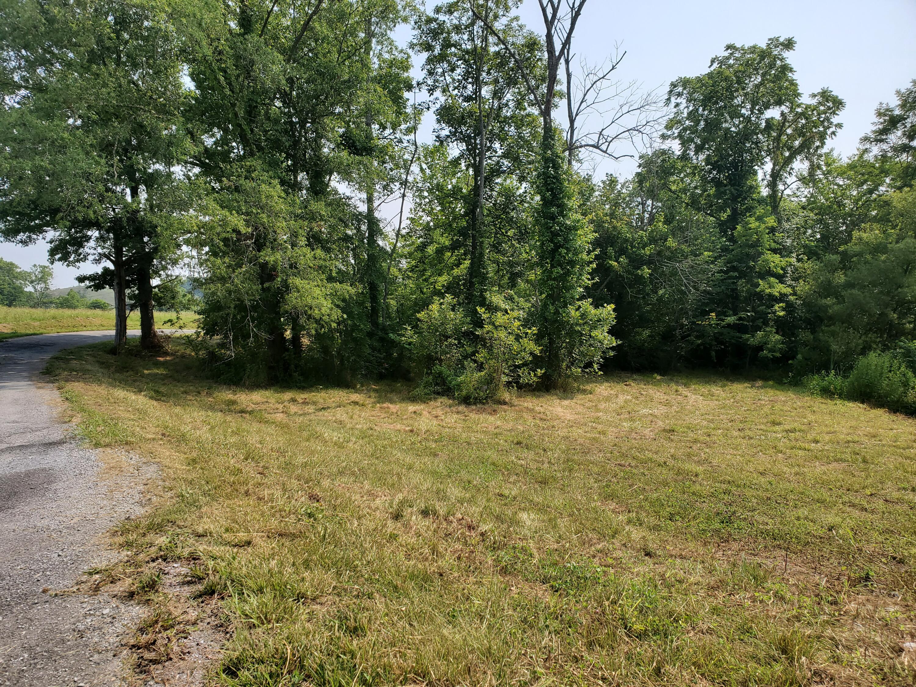6.27 Ac Mcdonald Road Midway, TN 37809 - Photo 8 of 34 20210724_110013