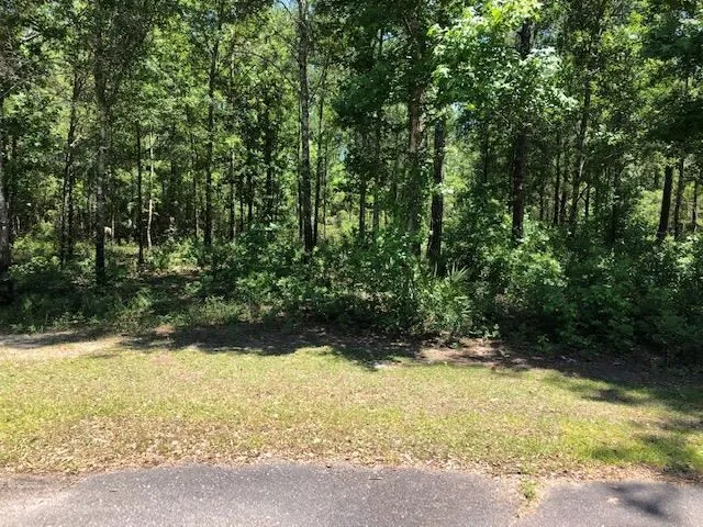 $25,000 | Lot 52 Cabbage Palm Court, Crawfordville, FL 32327