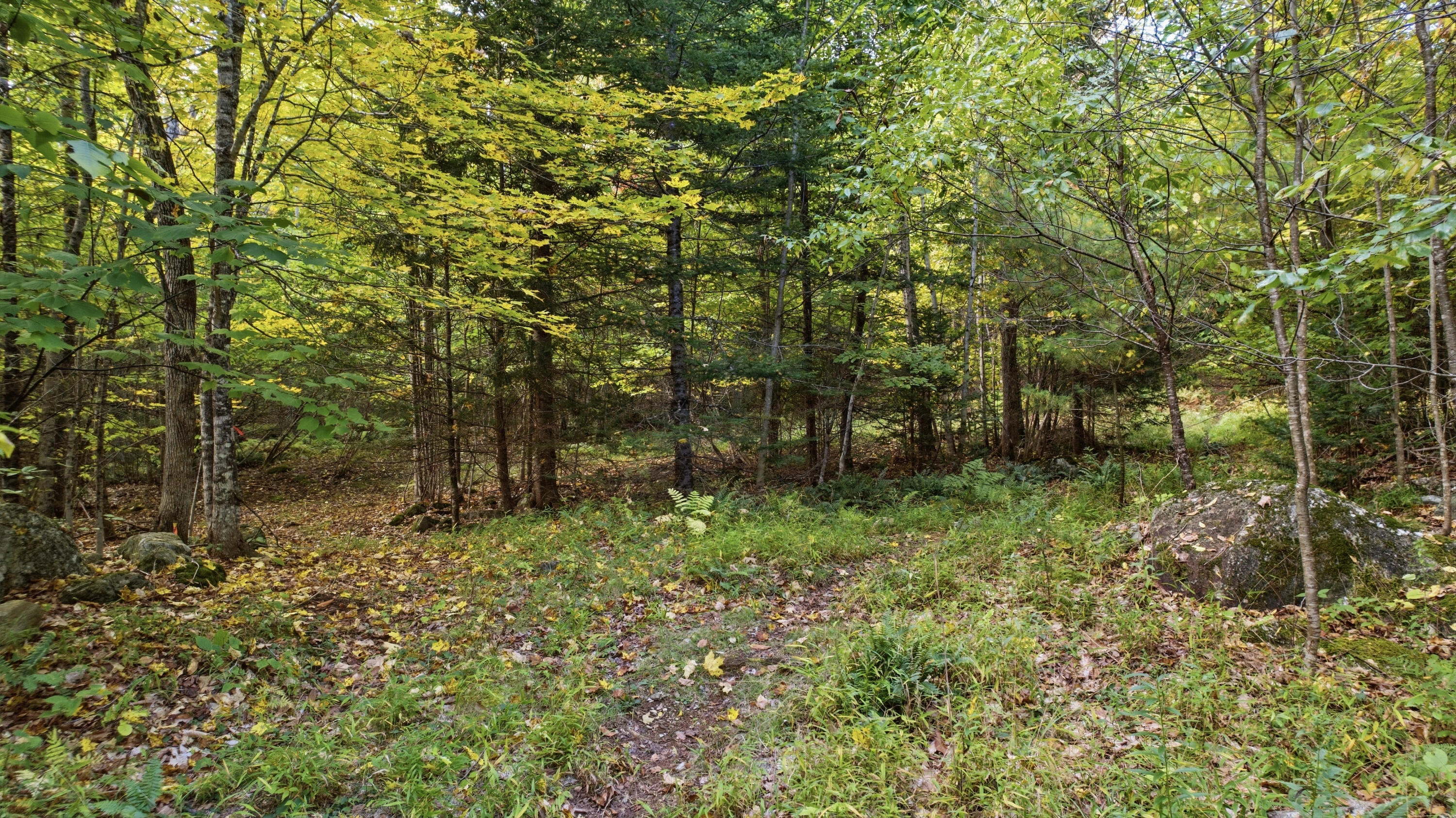 Lot 6 River Road Sumner, ME 04292 - Photo 12 of 39 Lot 6 River Sumner-29