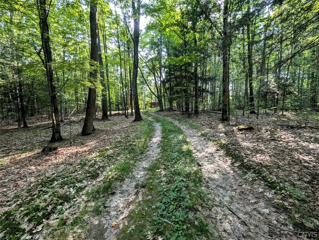 8880 Hemlock Road Wheeler, NY 14809 - Photo 40 of 50