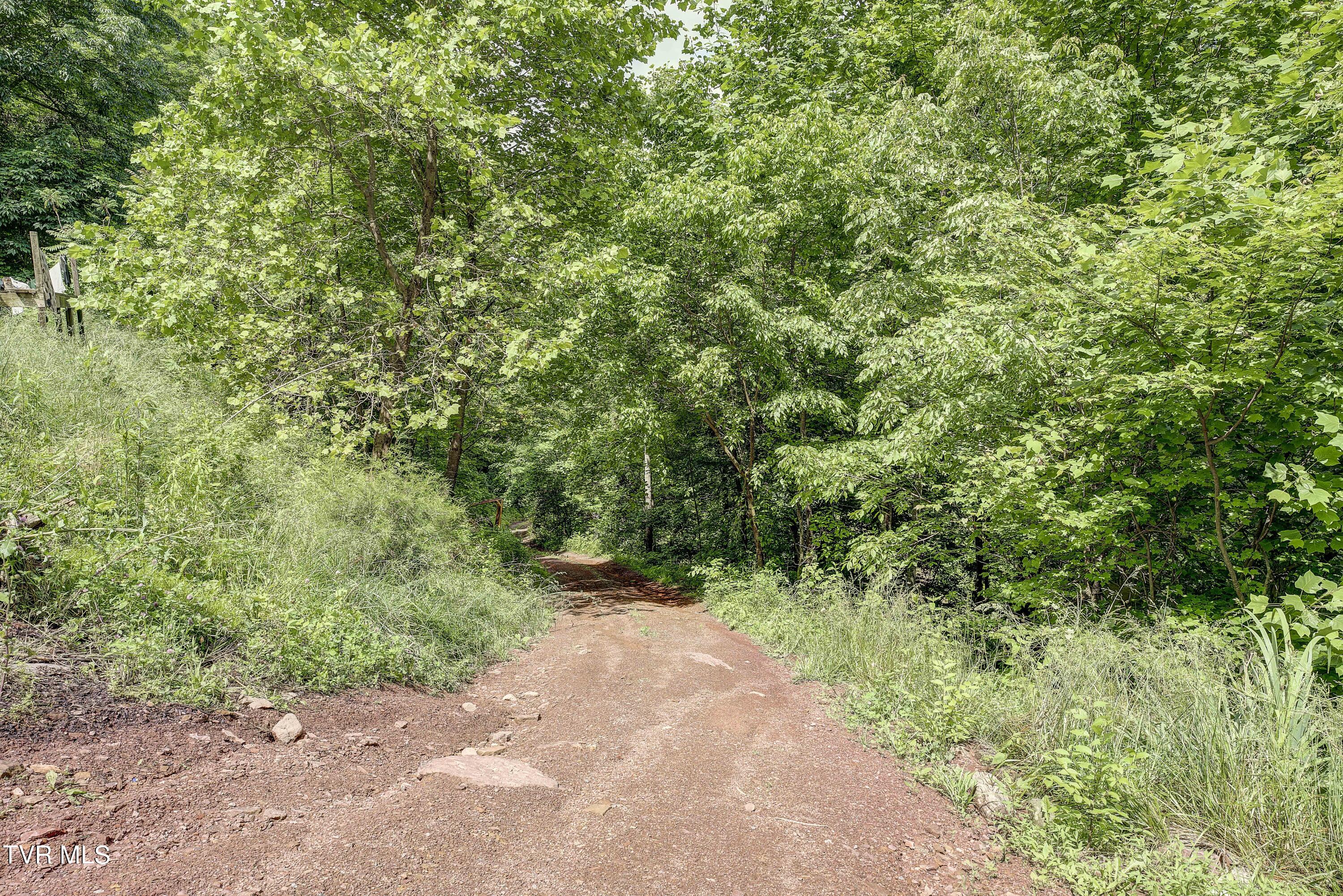 162 Lick Skillet Road Elizabethton, TN 37643 - Photo 15 of 42 LSR-22