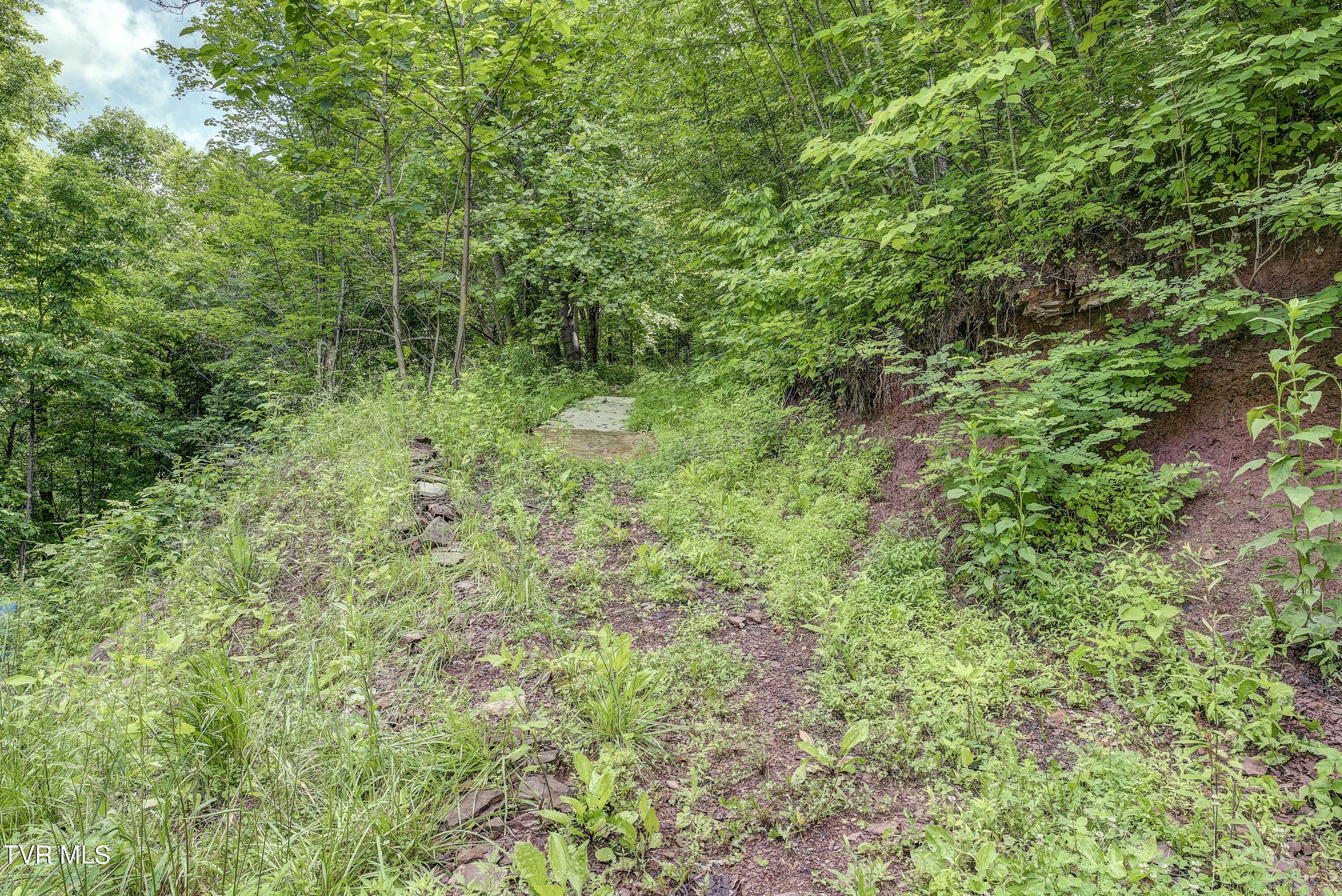 162 Lick Skillet Road Elizabethton, TN 37643 - Photo 16 of 42 LSR-23