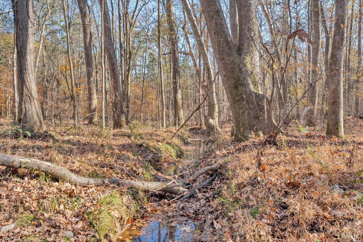 5050 Falkland Road Scottsburg, VA 24589 - Photo 69 of 97