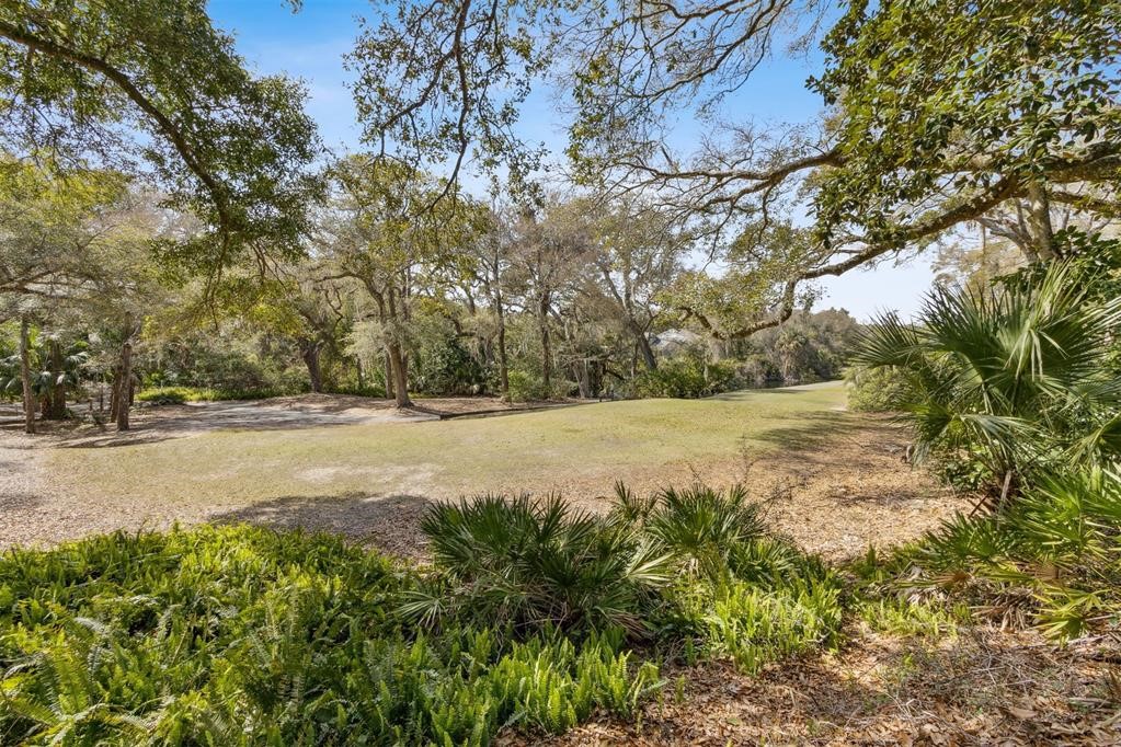 2004 Beachwood Road, Unit 2004 Fernandina Beach, FL 32034 - Photo 16 of 54 Beautiful View From Back Patio