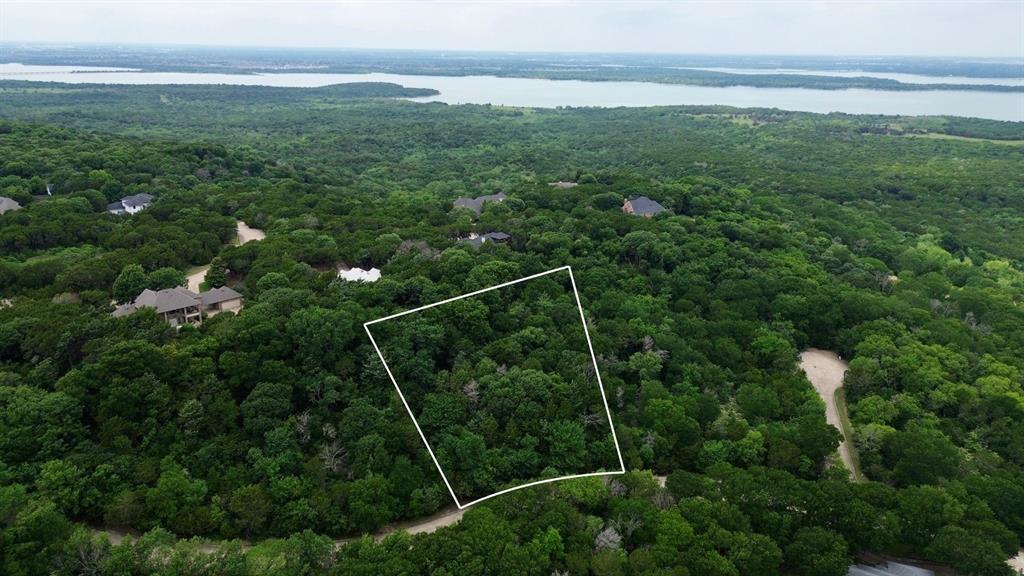 1917 Juniper Ridge Road Cedar Hill, TX 75104 - Photo 3 of 23 a view of a city from a lush green forest