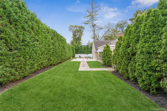a view of a big yard with plants and large trees