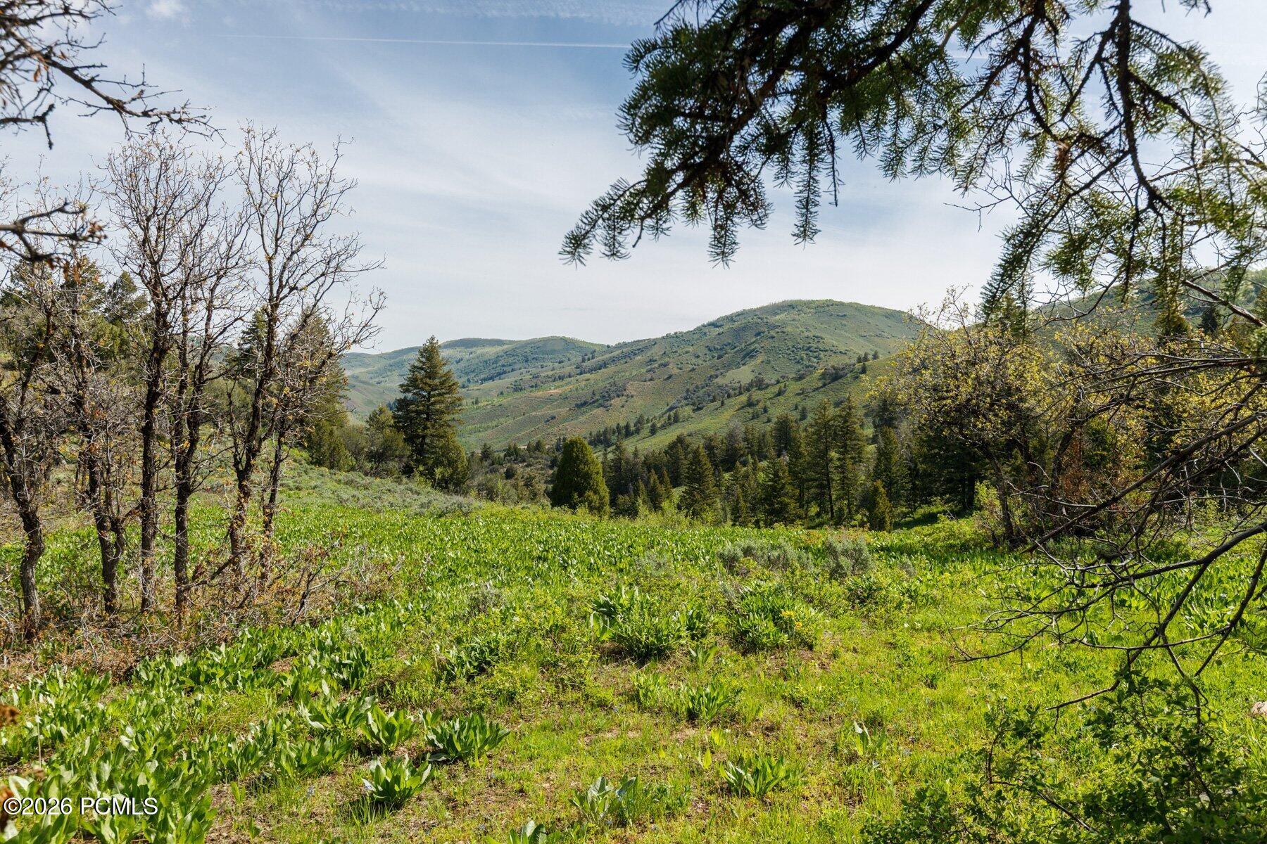 40 Sunridge Ranch Huntsville, UT 84317 - Photo 23 of 36 Gallery Image 23