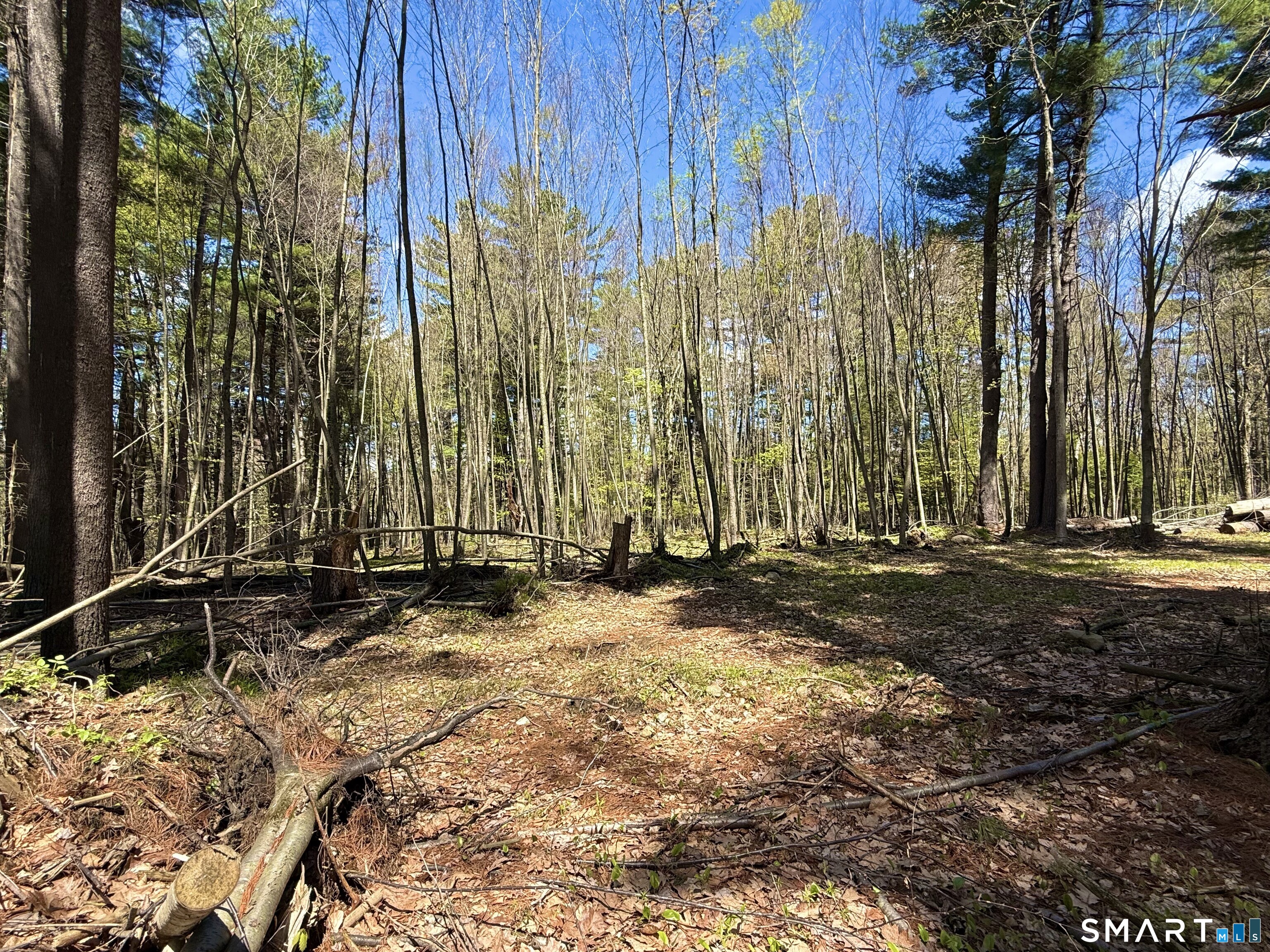 0 Weingart Road Harwinton, CT 06791 - Photo 3 of 23