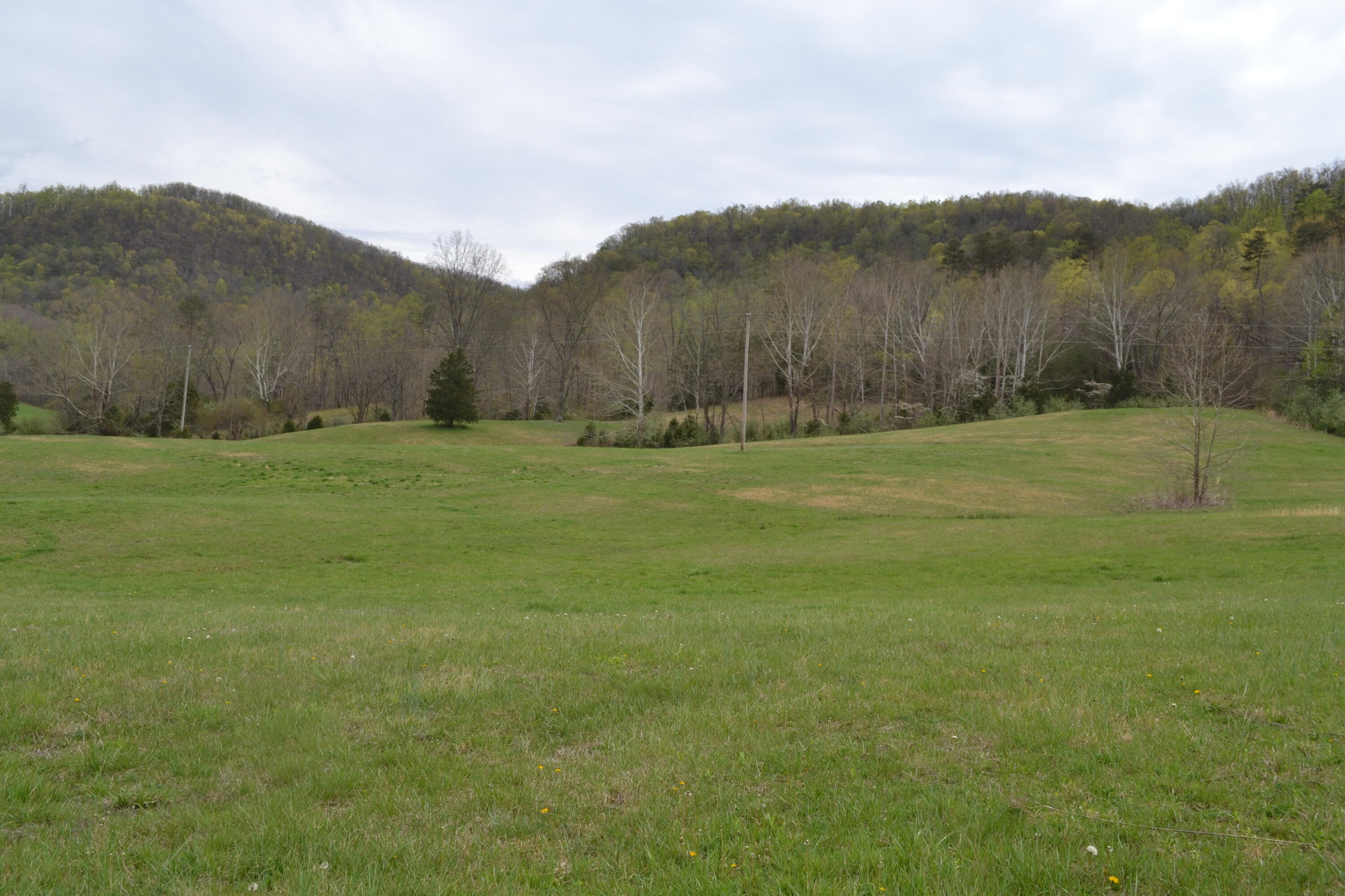 300 Sang Br Road Irvine, KY 40336 - Photo 18 of 62 CSC_5635