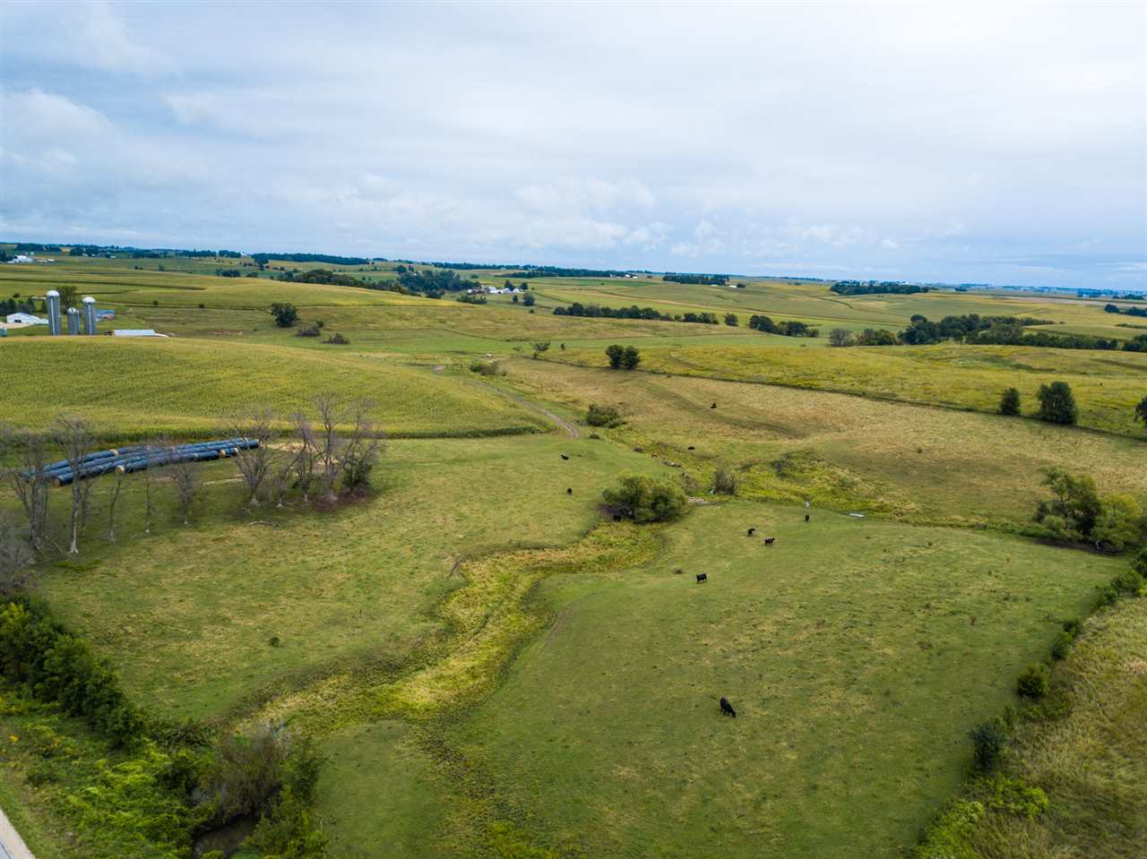 296-acres Gunder Road Postville, IA 52162 - Photo 10 of 21 Gallery Image 10