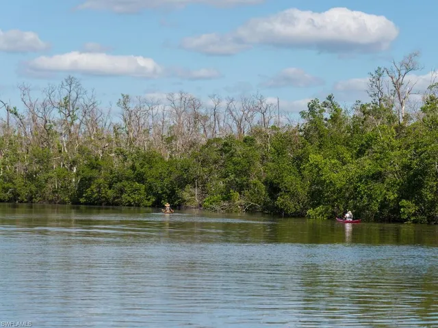 a view of a lake