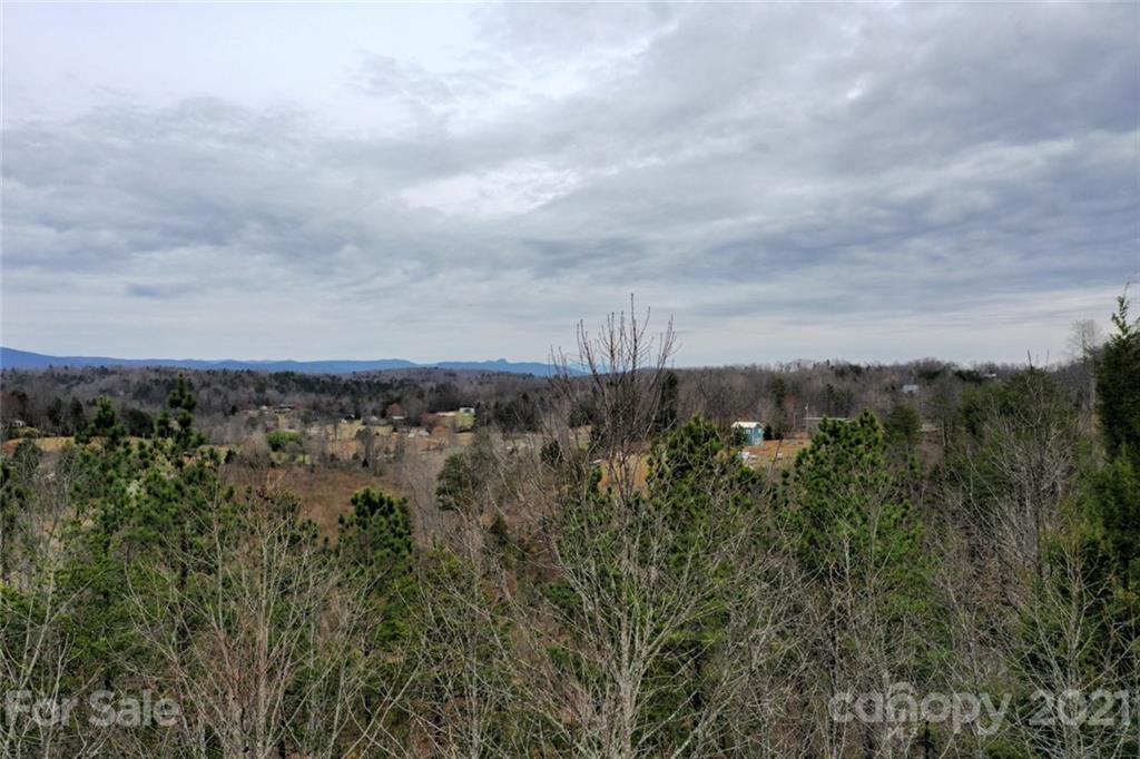 4461 Harmony Grove Road Nebo, NC 28761 - Photo 7 of 33 Gallery Image 7