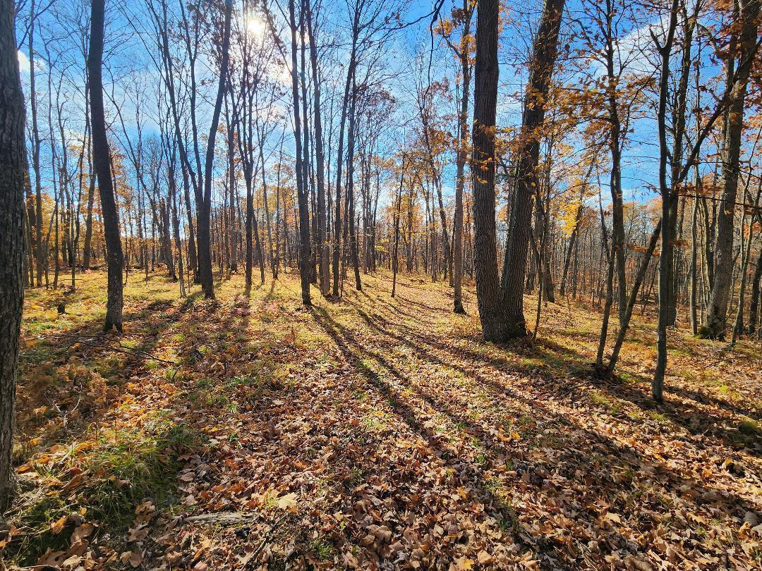 0 Holmberg Road Barronett, WI 54813 - Photo 1 of 1