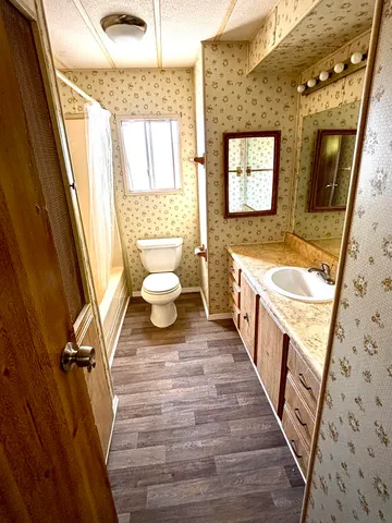 a view of a yard with plants and large trees