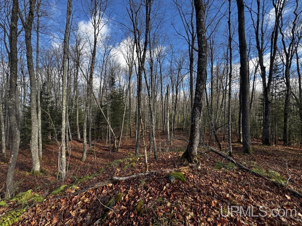 Tbd Tbd Herman Nestoria Road Lanse, MI 49946 - Photo 23 of 25